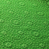 Sassy Stretch Lace Nylon Spandex Fabric - Multiple Colors, Floral Lace, 58/60" Width (1 Yard)