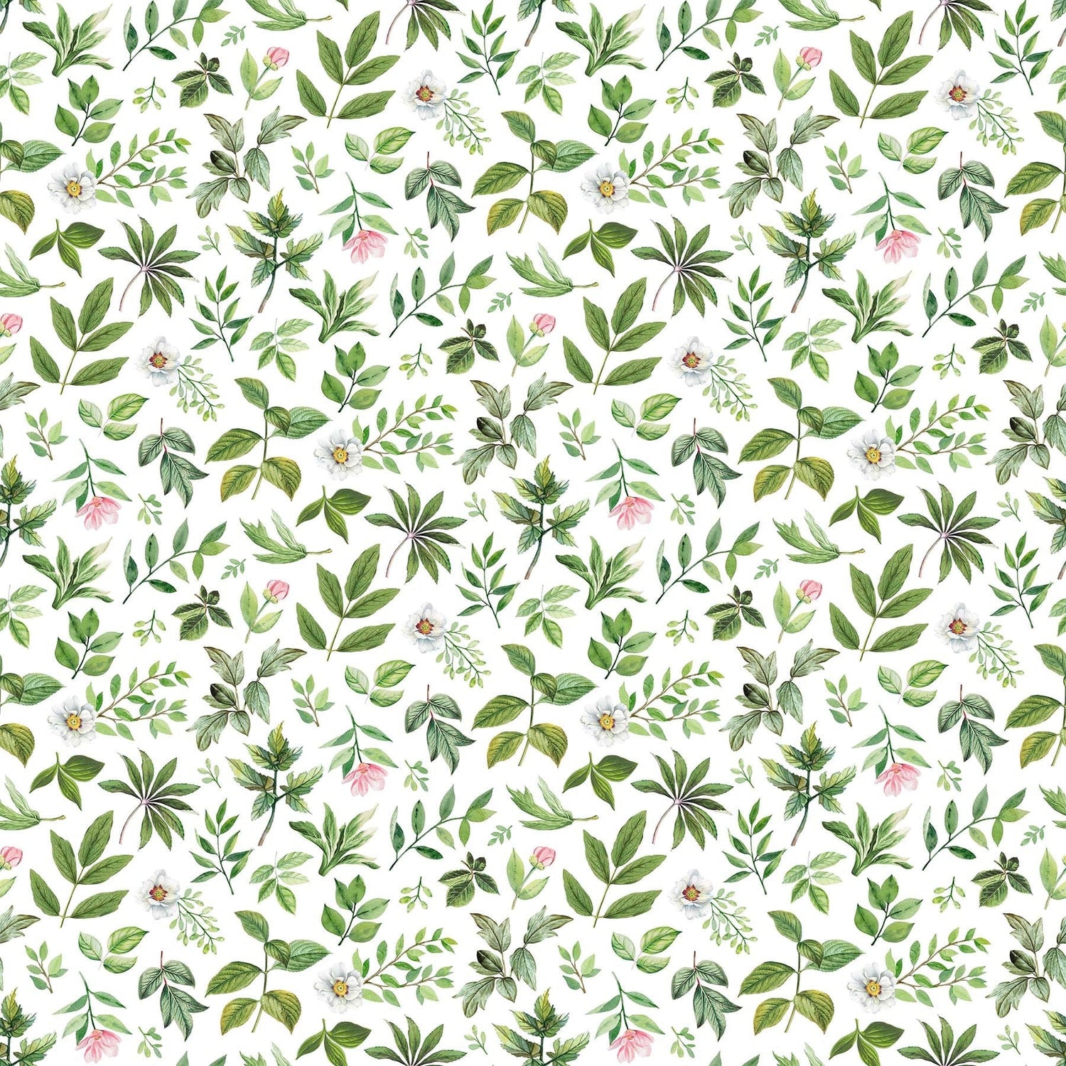 Quilting Cotton Blush Collection Leaf Toss White Green Northcott