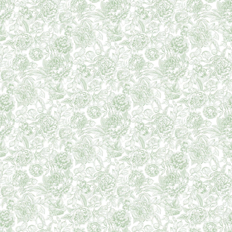 Quilting Cotton Blush Collection Green Floral Toile Northcott