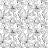 Quilting Cotton Simply Neutral 2 Hibiscus Toss White/Black Northcott