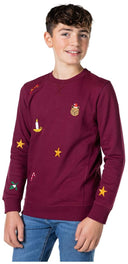 OppoSuits Deluxe Teen Boys' Sweaters TEEN BOYS X-Mas Icons - Burgundy