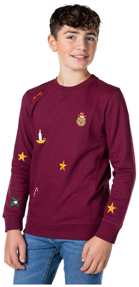 OppoSuits Deluxe Teen Boys' Sweaters TEEN BOYS X-Mas Icons - Burgundy