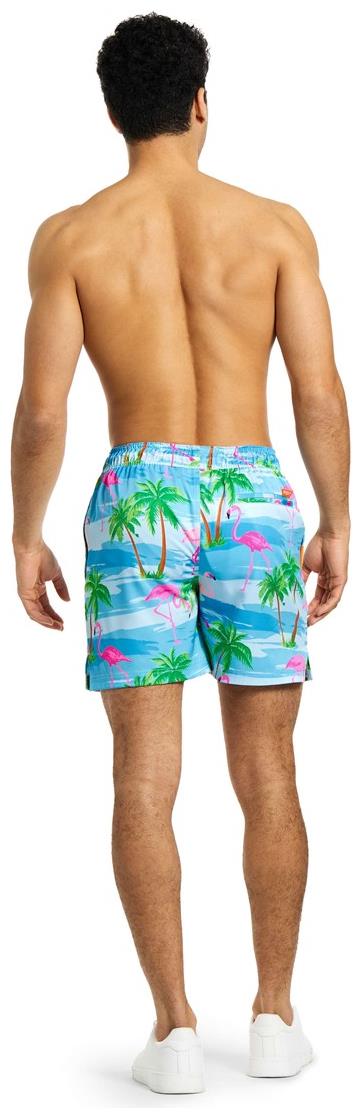 OppoSuits Men's Swim Shorts Flaminguy