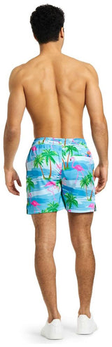 OppoSuits Men's Swim Shorts Flaminguy