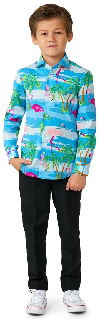 OppoSuits Boys' Shirts SHIRT LS Flaminguy Boys