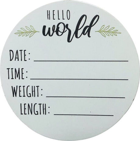 Baby’s Hello World Disk Personalizable Ornament