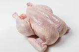 Baby Chicken 3lb