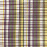 Ordell Multi-Colored Stripe Silk Fabric - 54" Width (1 Yard)