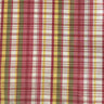 Ordell Multi-Colored Stripe Silk Fabric - 54" Width (1 Yard)