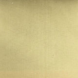 Cabo Solution Dyed Polypropylene Fabric - Solid Outdoor Upholstery Fabric, Aqua, 62" Width (1 Yard)