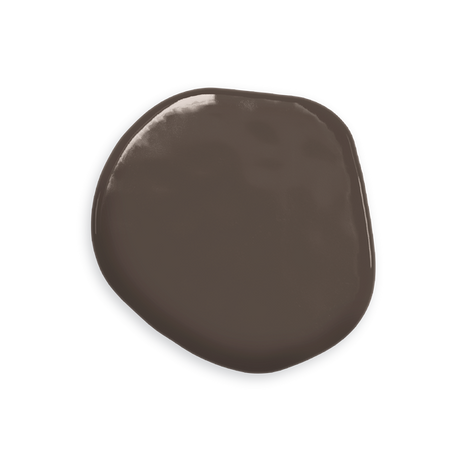 Coffee Oil Based Colouring 20ml Shade for Baking Creations