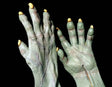 Witch Green Gloves - Oktober