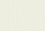 Sunbrella Flagship Salt Ivory Solution-Dyed Acrylic Fabric - Ivory Off-White Specialty Weave, 54" Width (1 Yard)