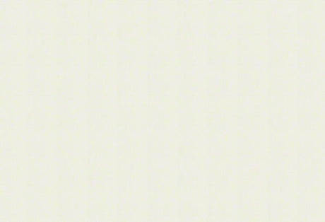 Sunbrella Flagship Salt Ivory Solution-Dyed Acrylic Fabric - Ivory Off-White Specialty Weave, 54" Width (1 Yard)