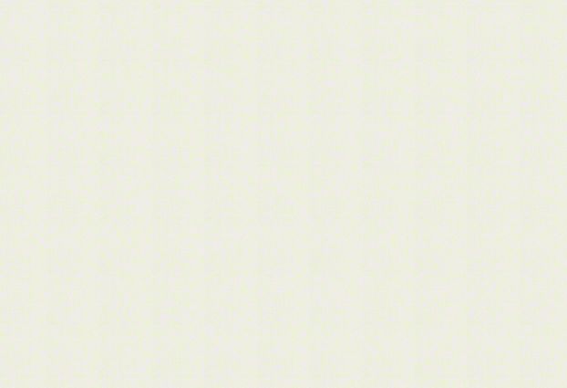 Sunbrella Flagship Salt Ivory Solution-Dyed Acrylic Fabric - Ivory Off-White Specialty Weave, 54" Width (1 Yard)