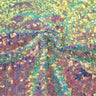 Sequin Mesh Stretch Fabric