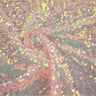 Sequin Mesh Stretch Fabric