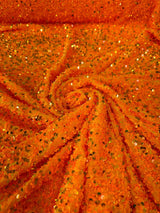 Sequin on Velvet Stretch Fabric