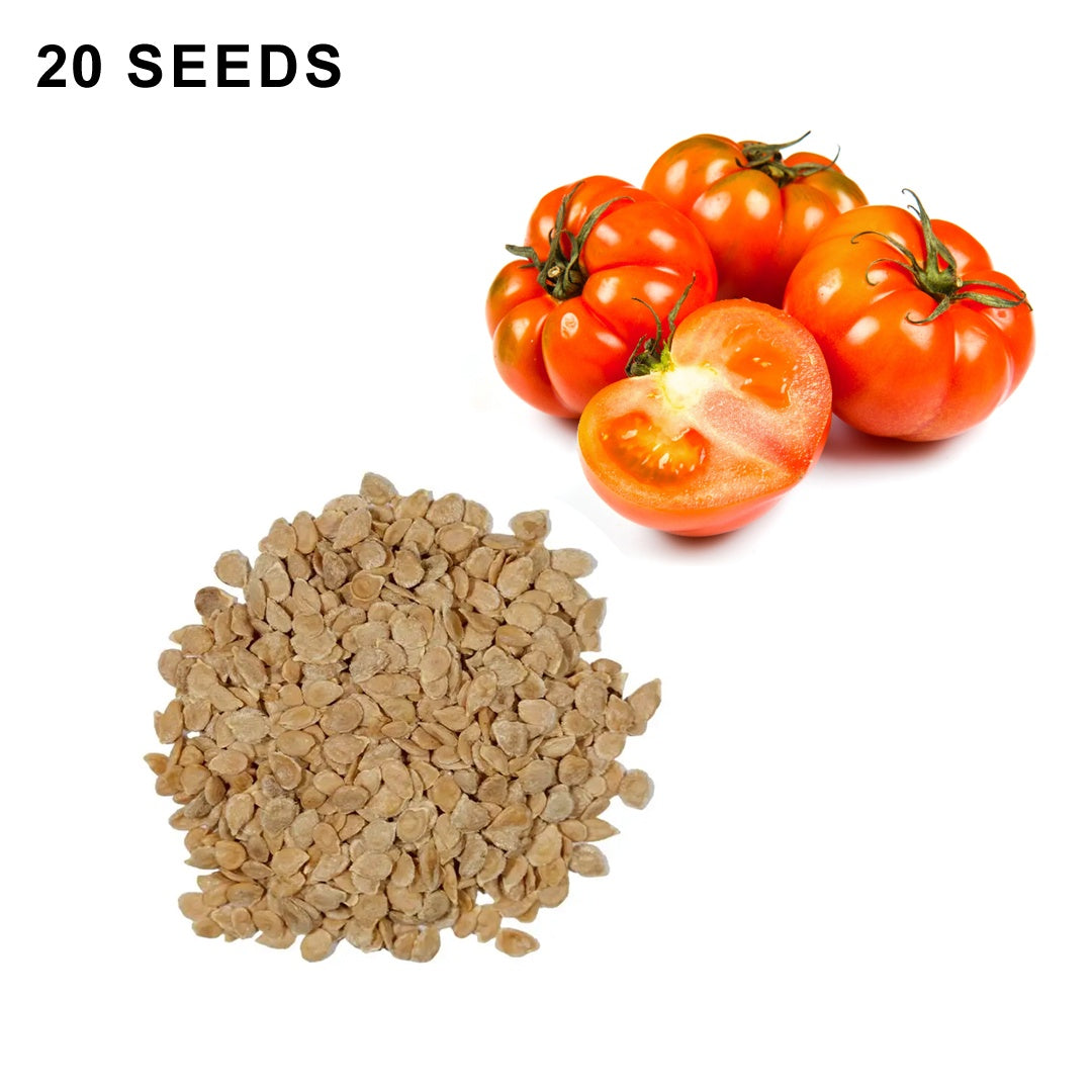 Beefsteak Determinate Tomato Seeds Heirloom Organic High Yield Garden Variety