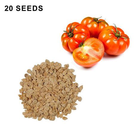 Beefsteak Determinate Tomato Seeds Heirloom Organic High Yield Garden Variety
