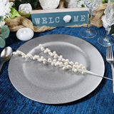 Acrylic Charger Plate 13" Silver Mystic Glitter