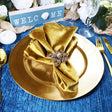 Gold Metallic Acrylic Charger Plates 13"