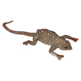 Color Changing Lizard 6" (1 DZ)