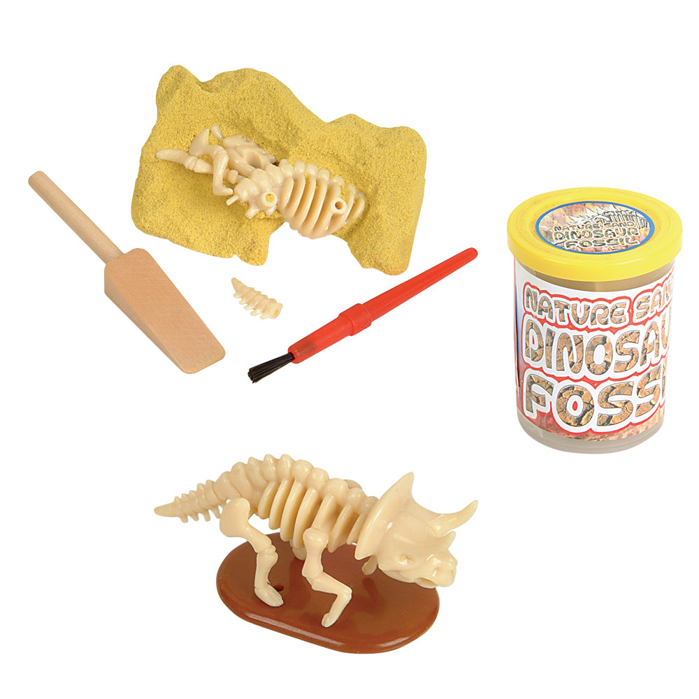 Dino Fossil Kit (1 DZ)