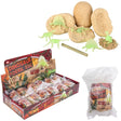 Dinosaur Fossil Egg Dig Set (1 DSP)