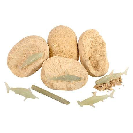 Shark Fossil Egg Dig Set (12 PC Display)