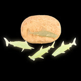 Shark Fossil Egg Dig Set (12 PC Display)