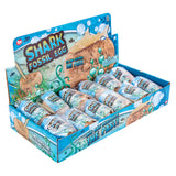 Shark Fossil Egg Dig Set (12 PC Display)