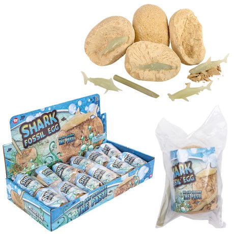 Shark Fossil Egg Dig Set (12 PC Display)