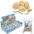Shark Fossil Egg Dig Set (12 PC Display)