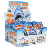 Aquatic Fizzy Egg (24pc/Un)