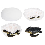 Aquatic Fizzy Egg (24pc/Un)