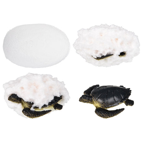 Aquatic Fizzy Egg (24pc/Un)