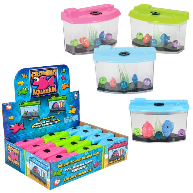 Growing Aquarium Fish (12 Pc Display)