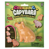Growing Capybara Toy (1 DZ)