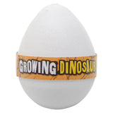 Growing Dinosaur Egg (1 DZ)