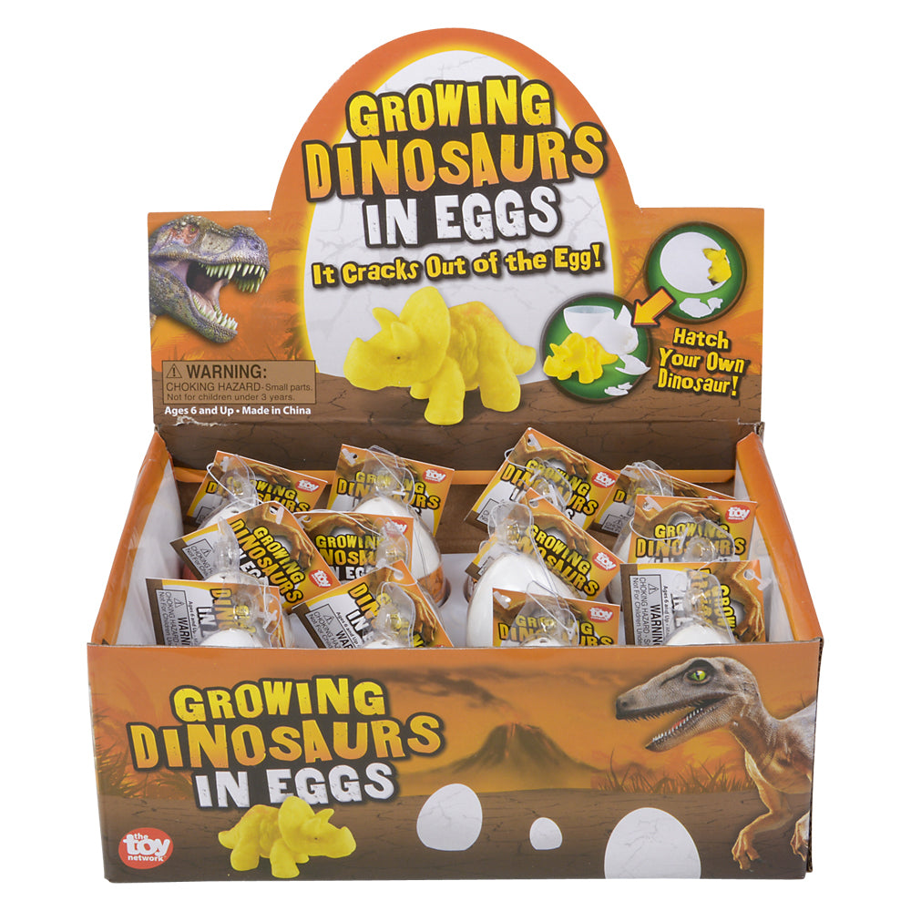 Growing Dinosaur Egg (1 DZ)