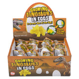 Growing Dinosaur Egg (1 DZ)