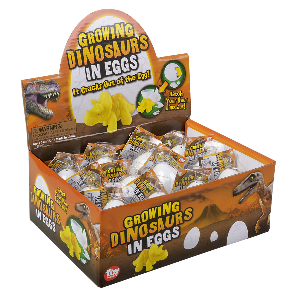 Growing Dinosaur Egg (1 DZ)