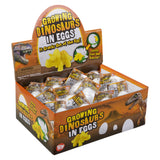 Growing Dinosaur Egg (1 DZ)