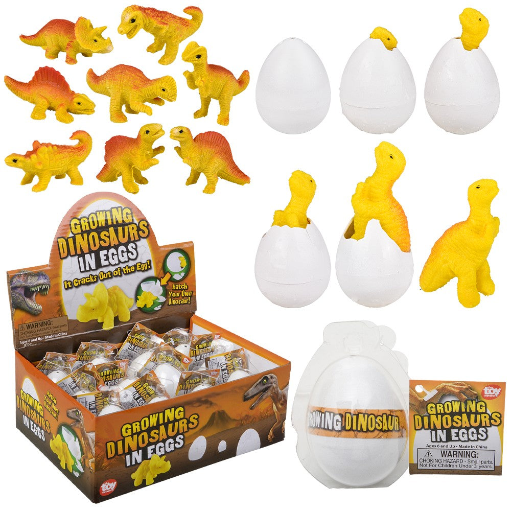 Growing Dinosaur Egg (1 DZ)