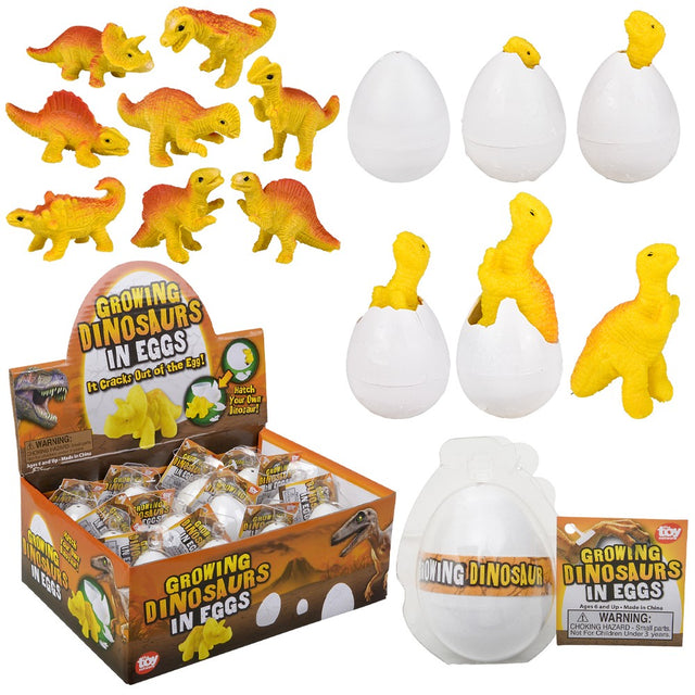Growing Dinosaur Egg (1 DZ)