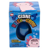 Grow And Hatch Axolotl Egg (6 Unit)