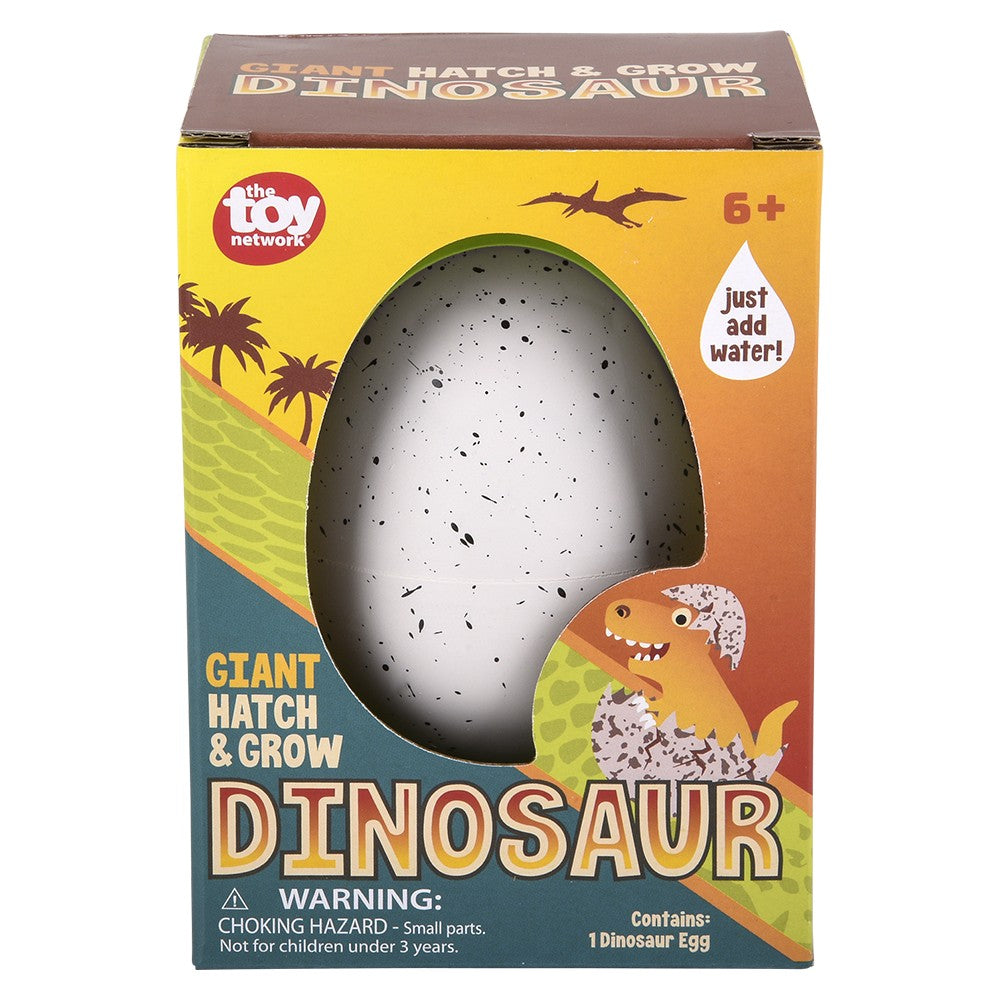 Giant Hatch And Grow Dino (1 UNT)