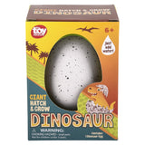 Giant Hatch And Grow Dino (1 UNT)