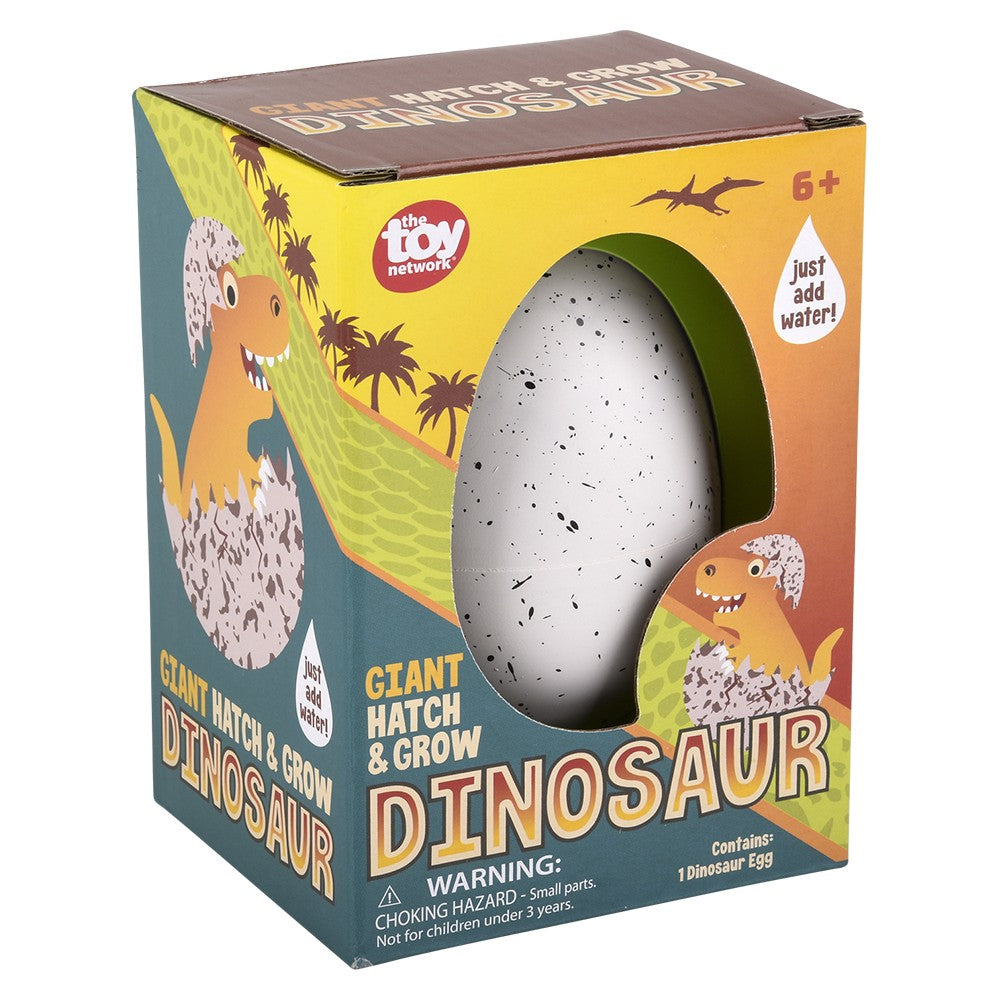 Giant Hatch And Grow Dino (1 UNT)